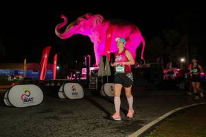 BIB: 
                            <button type="button" onclick="openModal(26534700)" class="btn btn-primary btn-sm float-right btn-popup" data-toggle="modal" data-target=".modal-high-quality">
                        <i class="fas fa-shopping-cart"></i> Add to Cart
                    </button>
                                            <button type="button" onclick="isThisMe(26534700, true)" class="btn btn-success btn-sm float-right btn-popup btn-isme hidden" data-toggle="tooltip" data-placement="bottom" title="นี่คือรูปของคุณใช่ไหม คลิกที่นี่เพื่อเอาเข้าอัลบั้ม">
                        <i class="fas fa-plus"></i> Add to album
                    </button>
                    <button type="button" onclick="isThisMe(26534700, false)" class="btn btn-warning btn-sm float-right btn-popup btn-isnotme hidden">
                        <i class="fas fa-ban"></i> Remove from album
                    </button>